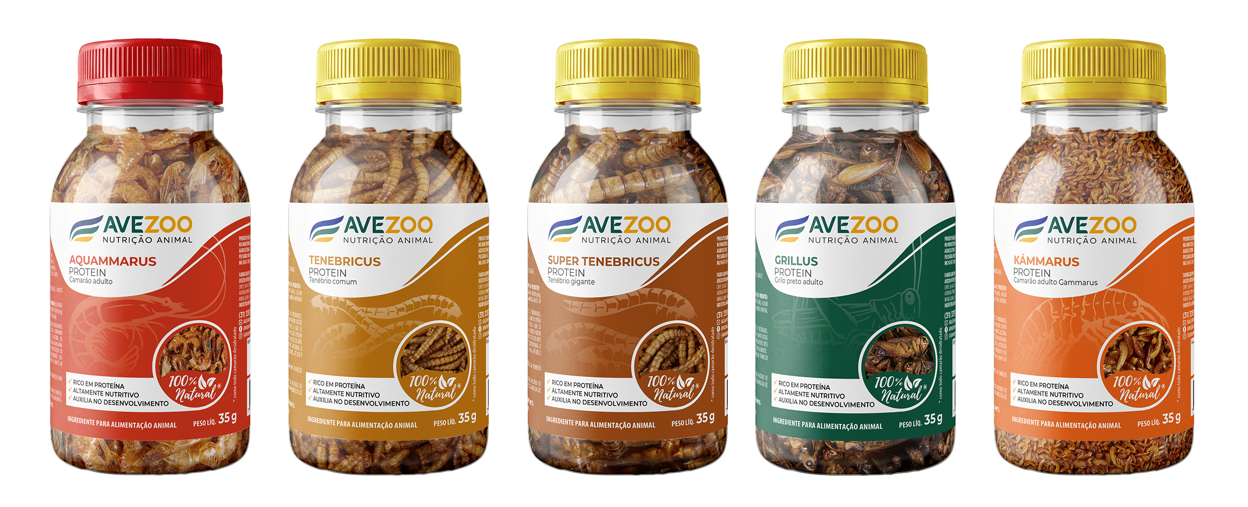 avezoo-potes-inseto-35g